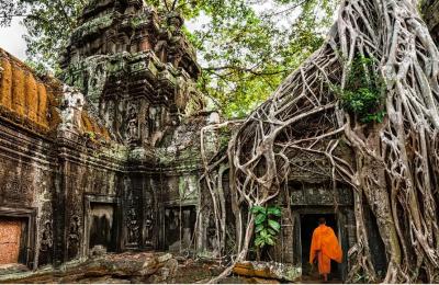 Ta Prohm Temple