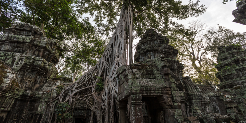 ,Khmer Angkor Tour Guide Association (KATGA)