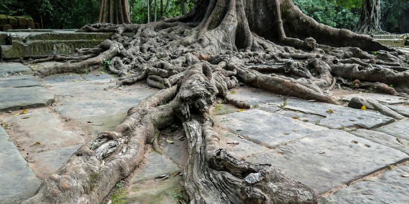 ,Khmer Angkor Tour Guide Association (KATGA)